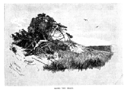 Sandy Hook--in 1879. vist0047k